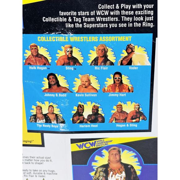 WCW The Nasty Boys Tag Team Wrestlers 1994 Jerry Sags & Brain Knobs Unopened - Picture 12 of 16